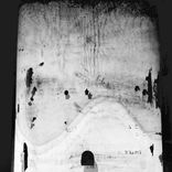 Portada para "Organic Trip"