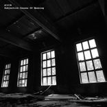 Artwork voor "Subjective Causes Of Meaning"