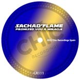 Promises You a Miracle