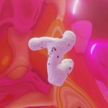 Artwork for "Flor De Loto Remixes"