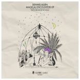 Artwork voor "Magical Encounters"