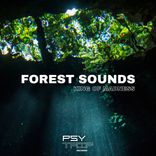 Forest Sounds