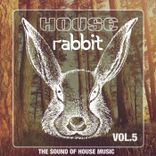 Artwork for "House Rabbit Vol. 5"