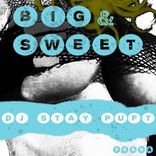 Artwork for "Big & Sweet"