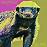 Artwork for "Honey Badger"