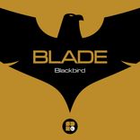 Artwork for "Blackbird"