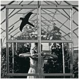 Portada para "Colors Outside"