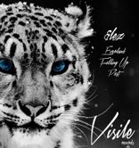 Artwork voor "Everland"