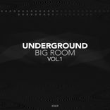 Portada para "Underground Big Room"