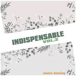 Artwork for "INDISPENSABLE 2"