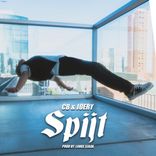 Portada para "Spijt"