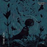 Artwork for "Rapture"