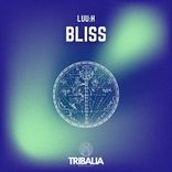 Artwork voor "Bliss"