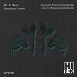 Artwork voor "Dreaming Awake"