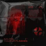 Portada para "Tourch Flashes"