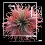 Artwork for "Metamorphosis"