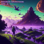Artwork for "Bounce Selection, Vol. 8"