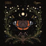 Artwork voor "Aurora"