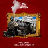 Portada para "Trem das Onze"