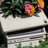 Artwork for "IT WON’T DO"