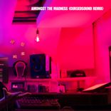 Artwork für "Amongst the Madness"