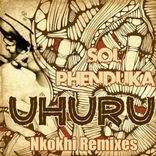 Artwork for "Uhuru (nkokhi remixes)"