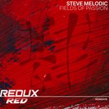 Artwork voor "Fields Of Passion"