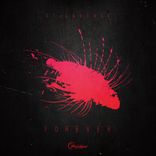 Artwork for "Forever"