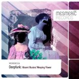 Portada para "Illusions"