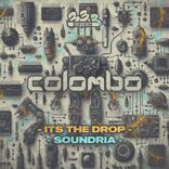 Artwork voor "Its The Drop"