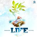 Artwork for "Life"