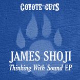 Artwork for "Thinking With Sound"