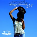 Artwork voor "Sextoy Records 25"