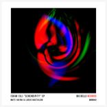 Artwork for "Serendipity"