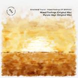 Artwork for "Mixed Feelings"