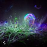 Artwork for "Neuronal Plasticity"