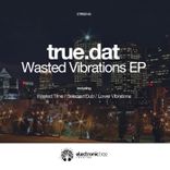 Portada para "Wasted Vibrations"