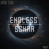 Artwork für "Endless Sonar"