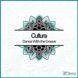 Artwork voor "Dance with the Groove"