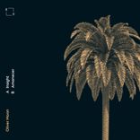 Artwork for "Insight"