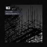 Artwork für "Dilema Sonoro"