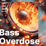 Portada para "Bass Overdose"