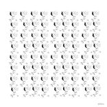 Bambolina Any Question