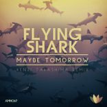 Artwork for "Flying Shark"