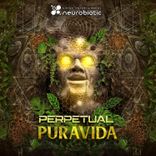 Artwork for "Pura Vida"