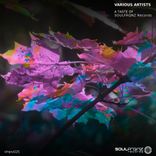 Artwork for "A Taste of Soulfrqnz Records"