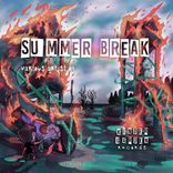 Portada para "Summer Break"