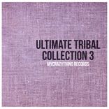 Artwork voor "Ultimate Tribal Collection 3"