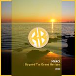 Beyond the Event Horizon