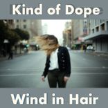 Artwork for "Wind in the Hair"